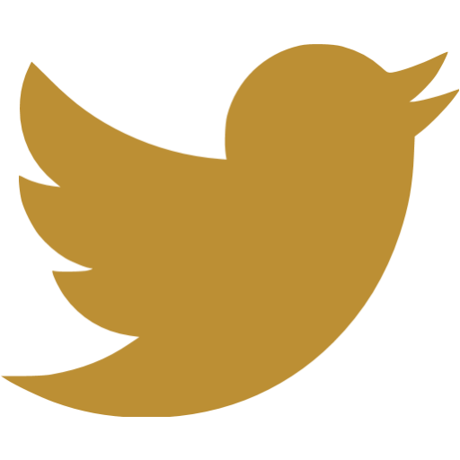 twitter Icon
